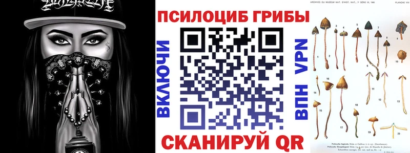 где купить наркотик  Симферополь  Галлюциногенные грибы Psilocybine cubensis 