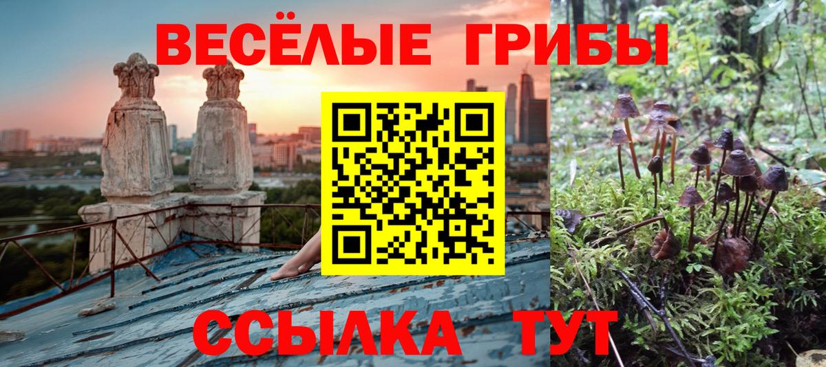Псилоцибиновые грибы мицелий Симферополь